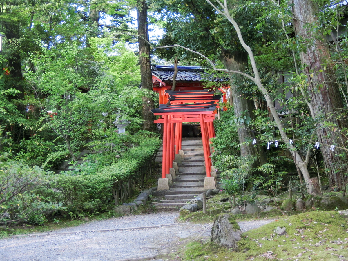 f:id:mijinyamatanishi:20190517222159j:plain f:id:mijinyamatanishi:20190517222159j:plain