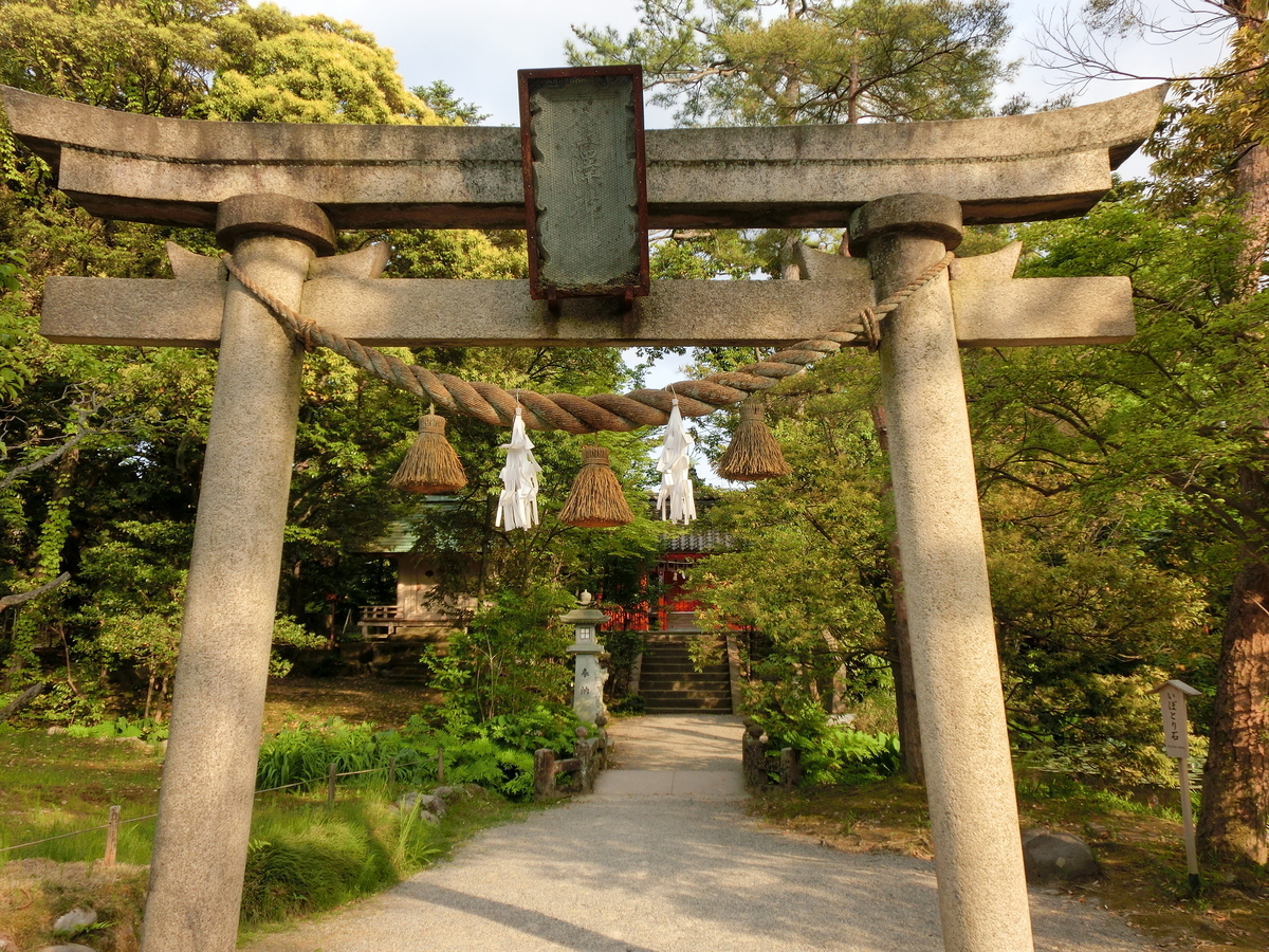 f:id:mijinyamatanishi:20190517223154j:plain f:id:mijinyamatanishi:20190517223154j:plain