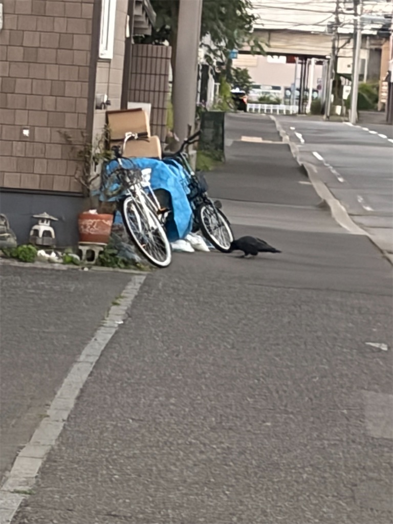 f:id:mijita212:20260913055004j:image