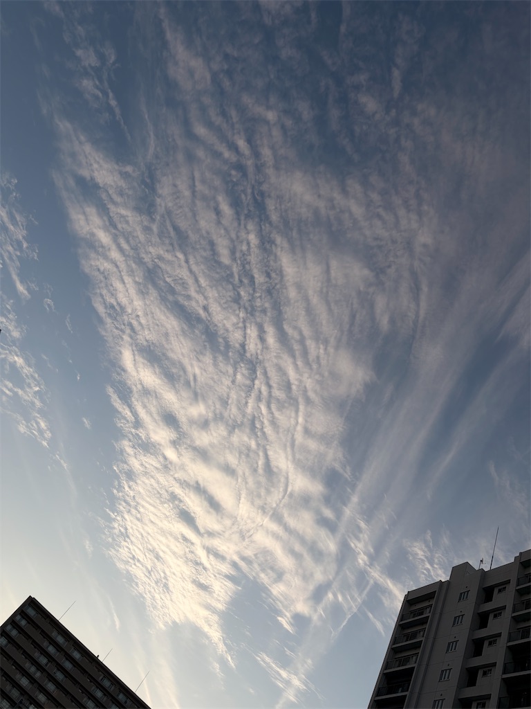f:id:mijita212:20260913055224j:image
