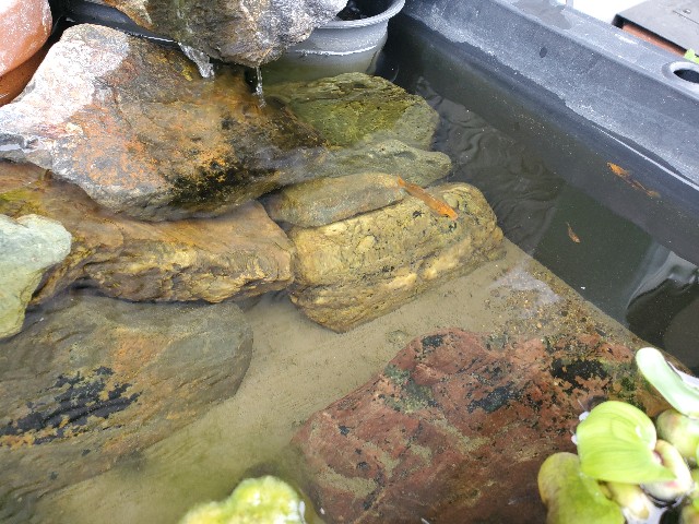 f:id:mijix:20240928195737j:image