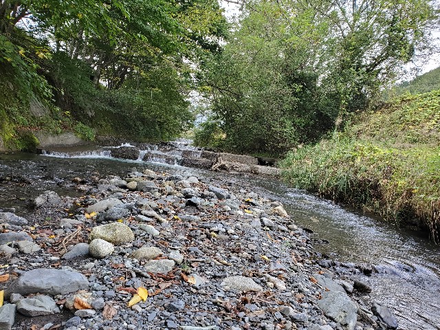 f:id:mijix:20240929203137j:image f:id:mijix:20240929203137j:image