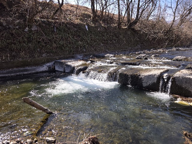 f:id:mijix:20250302200602j:image