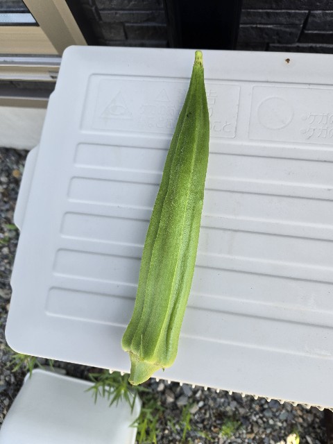 f:id:mijix:20250816130913j:image