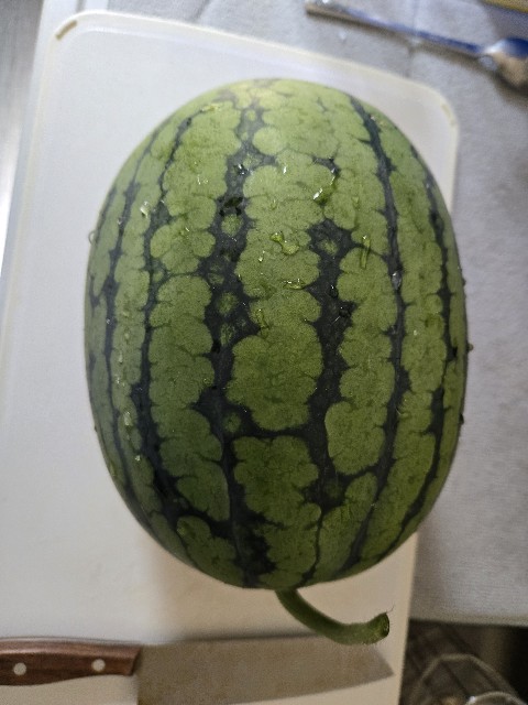 f:id:mijix:20250816131619j:image