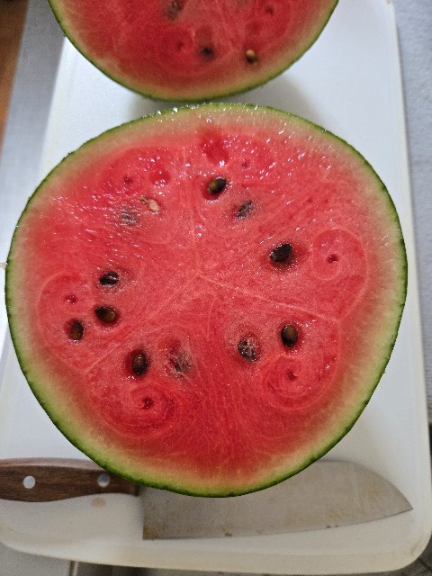 f:id:mijix:20250816131831j:image