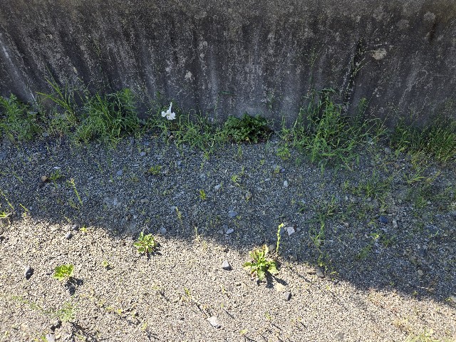 f:id:mijix:20250829224139j:image