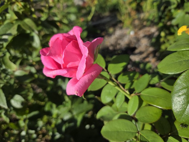 f:id:mijix:20250922222005j:image