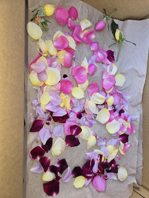 f:id:mijix:20250922222250j:image