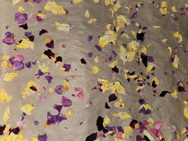 f:id:mijix:20250922222737j:image