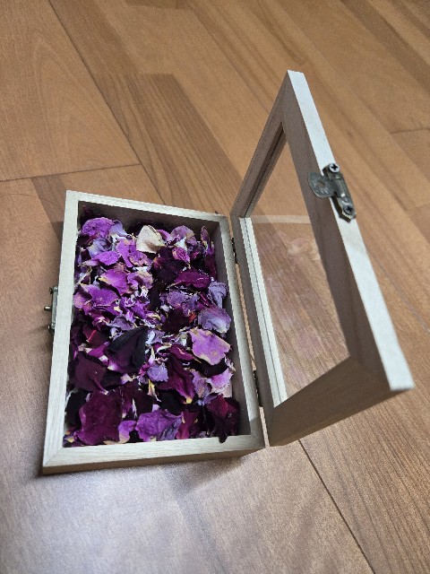 f:id:mijix:20250922224626j:image