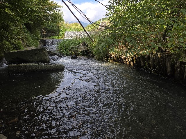 f:id:mijix:20251006002045j:image