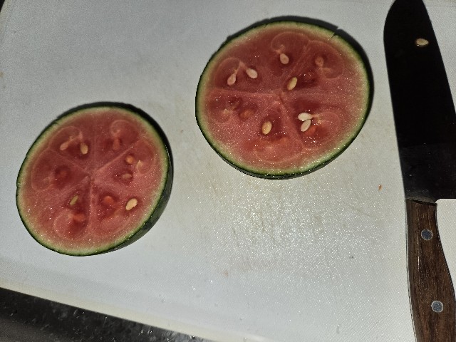 f:id:mijix:20251006234904j:image