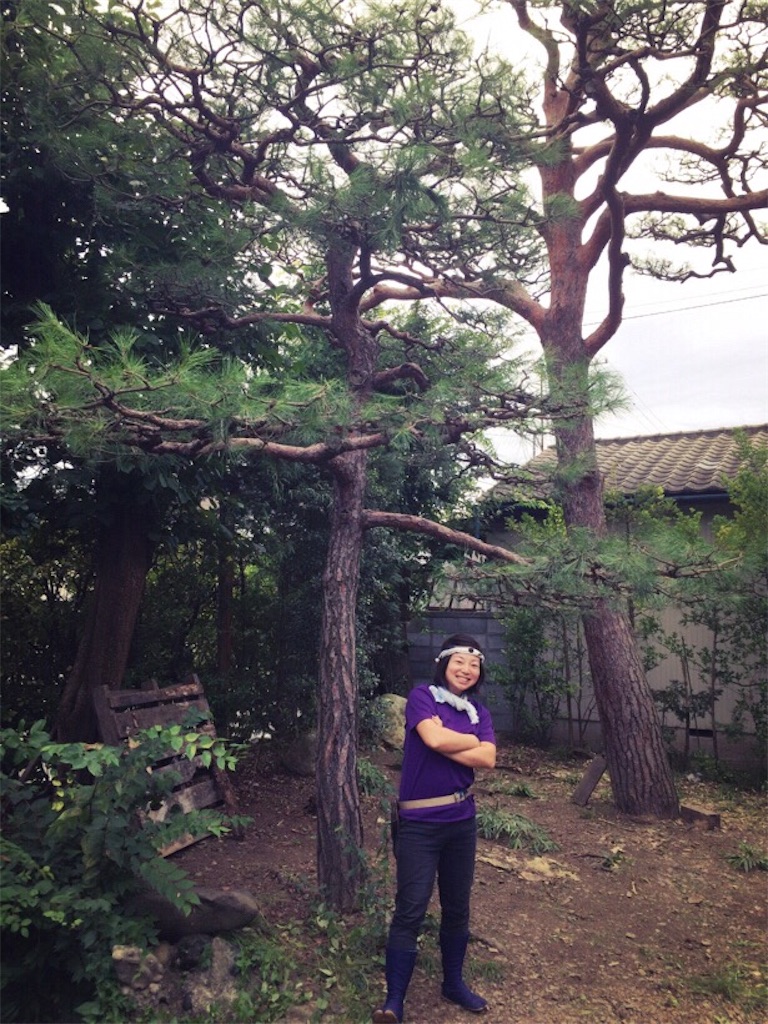 f:id:mijuho:20170921223055j:image