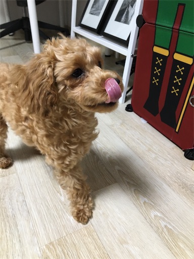f:id:mijyukorea:20190427125308j:image f:id:mijyukorea:20190427125308j:image