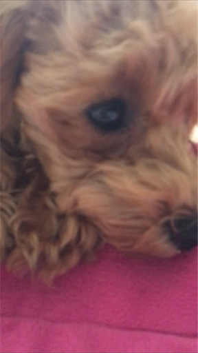 f:id:mijyukorea:20190506161612p:image f:id:mijyukorea:20190506161612p:image