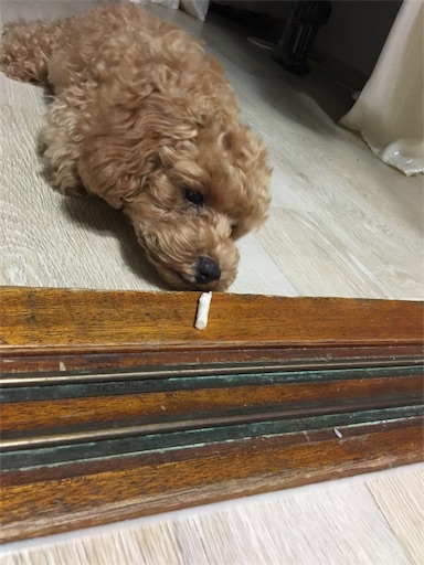 f:id:mijyukorea:20190521020222j:image f:id:mijyukorea:20190521020222j:image