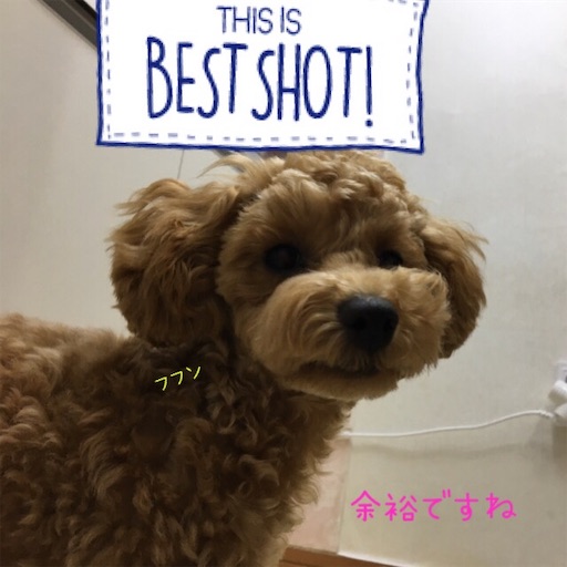 f:id:mijyukorea:20190526211033j:image f:id:mijyukorea:20190526211033j:image
