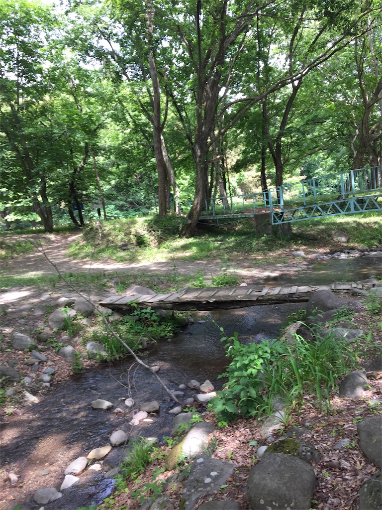 f:id:mika-oosakazuki:20170619222242j:image f:id:mika-oosakazuki:20170619222242j:image