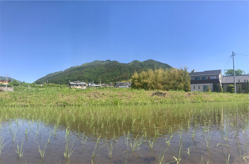 f:id:mika-shimosawa:20170528111830j:image f:id:mika-shimosawa:20170528111830j:image