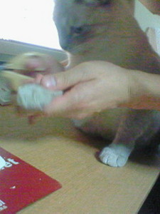f:id:mika28:20090914222600j:image