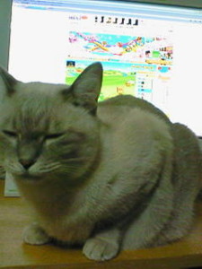f:id:mika28:20091024184100j:image