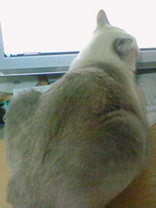 f:id:mika28:20091024204700j:image