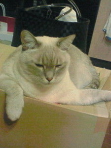f:id:mika28:20091207202500j:image