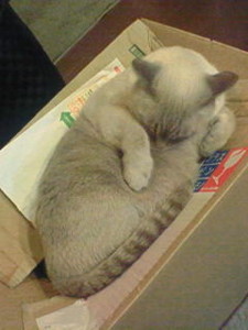 f:id:mika28:20091207204700j:image