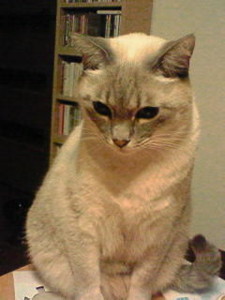 f:id:mika28:20091212201400j:image