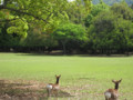 20100515095956
