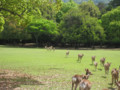 20100515100016