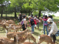 20100515100223