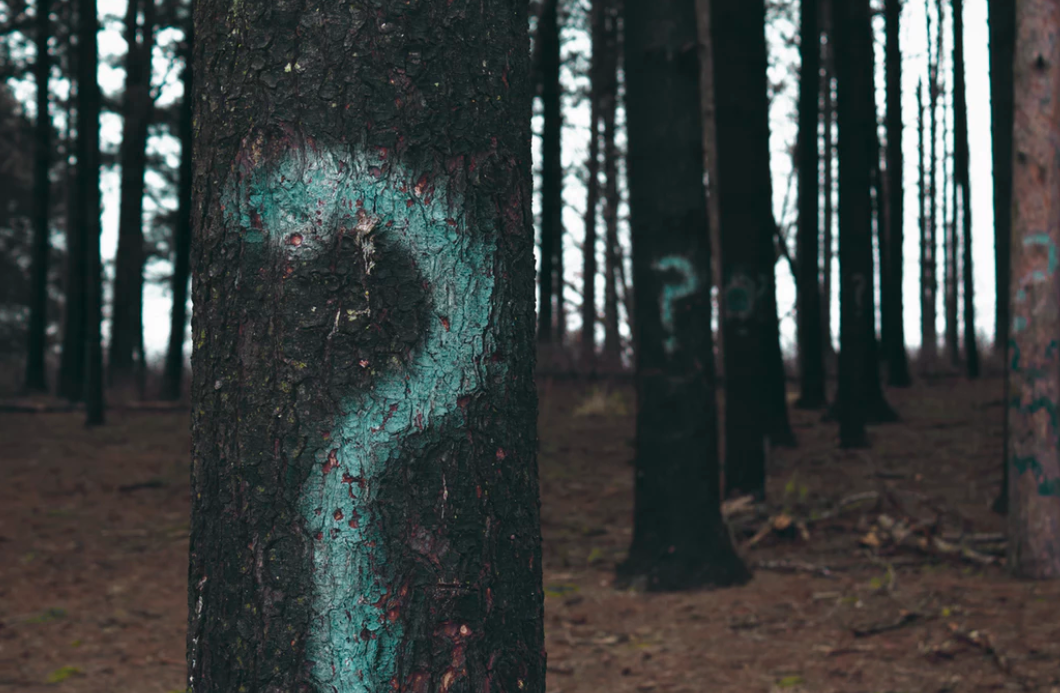 f:id:mika_ki:20190707165059p:plain