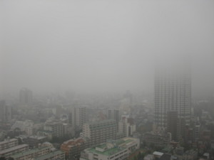 f:id:mikaaya:20091111091457j:image:left
