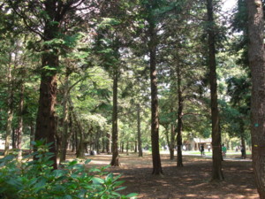 f:id:mikaaya:20110919110646j:image:left