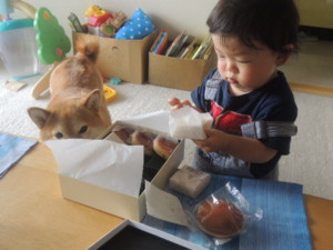 f:id:mikaaya:20130602114326j:image:left f:id:mikaaya:20130602114326j:image:left