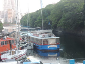 f:id:mikaaya:20130602183841j:image:left f:id:mikaaya:20130602183841j:image:left