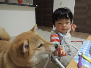 f:id:mikaaya:20140820194714j:image:right