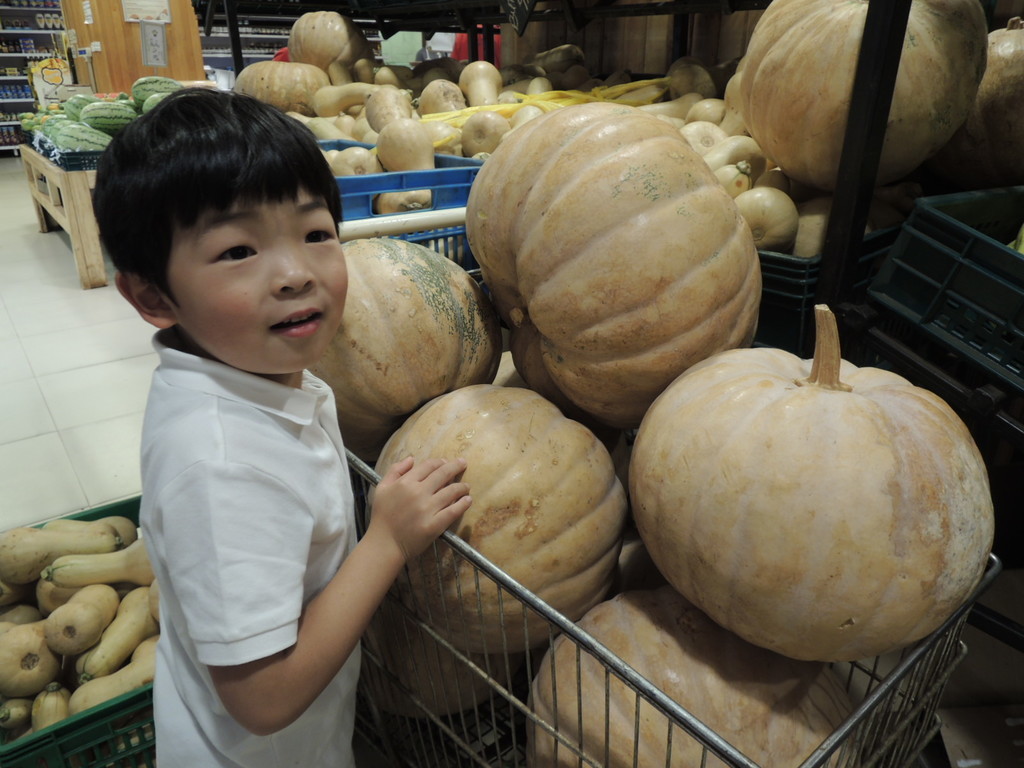 f:id:mikaaya:20190113175422j:plain f:id:mikaaya:20190113175422j:plain