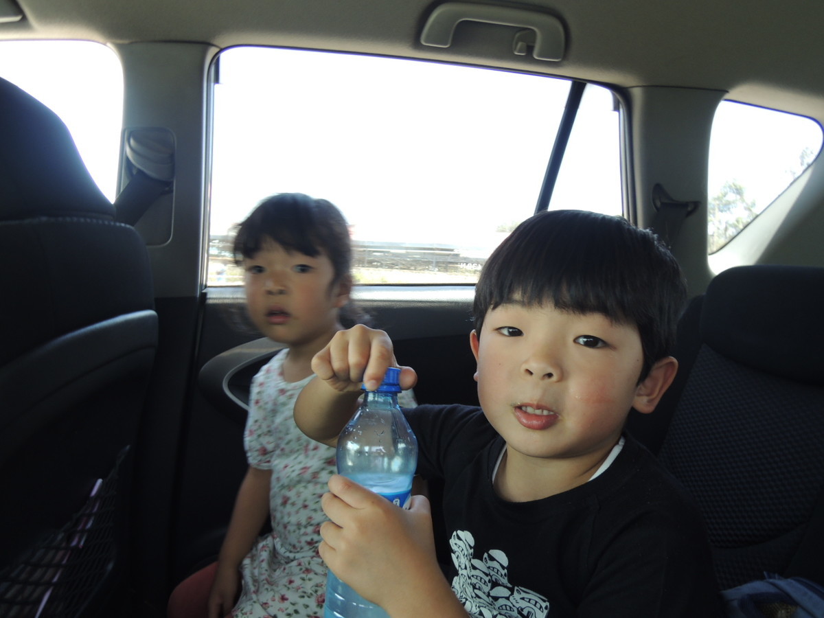 f:id:mikaaya:20190408192348j:plain f:id:mikaaya:20190408192348j:plain