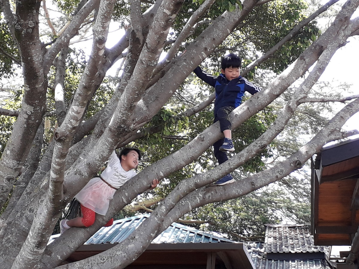 f:id:mikaaya:20200104131011j:plain