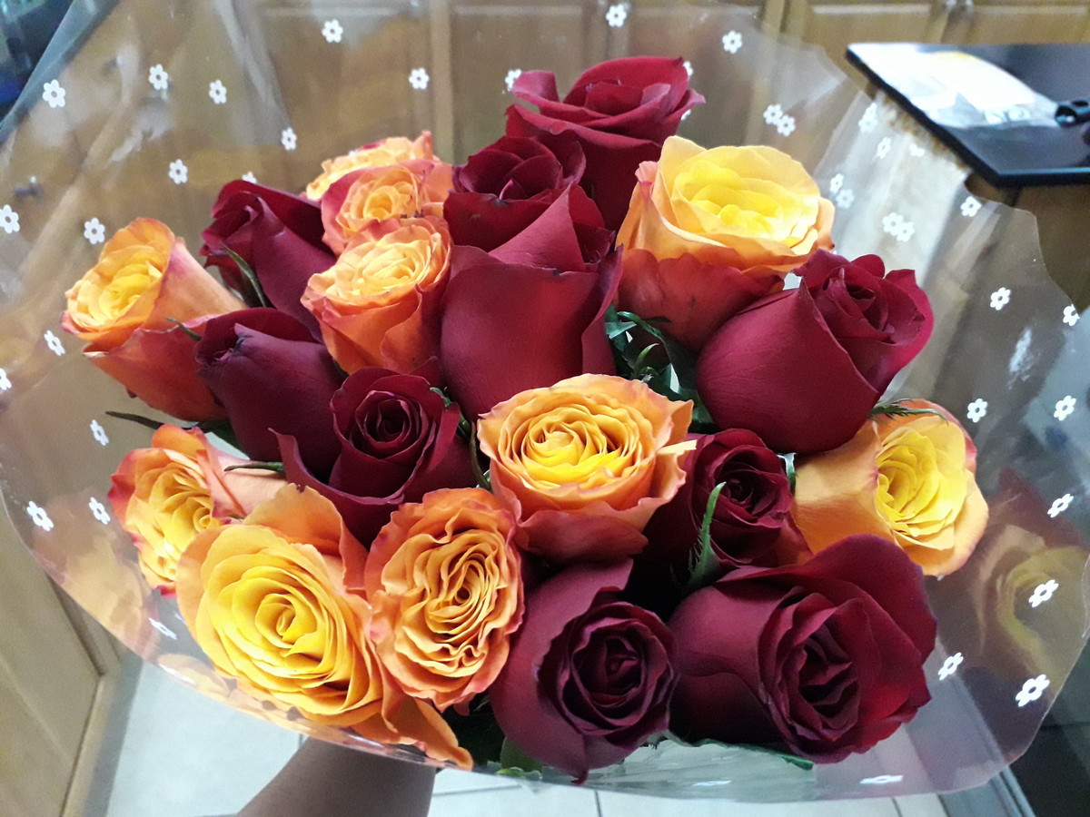 f:id:mikaaya:20200211140455j:plain f:id:mikaaya:20200211140455j:plain