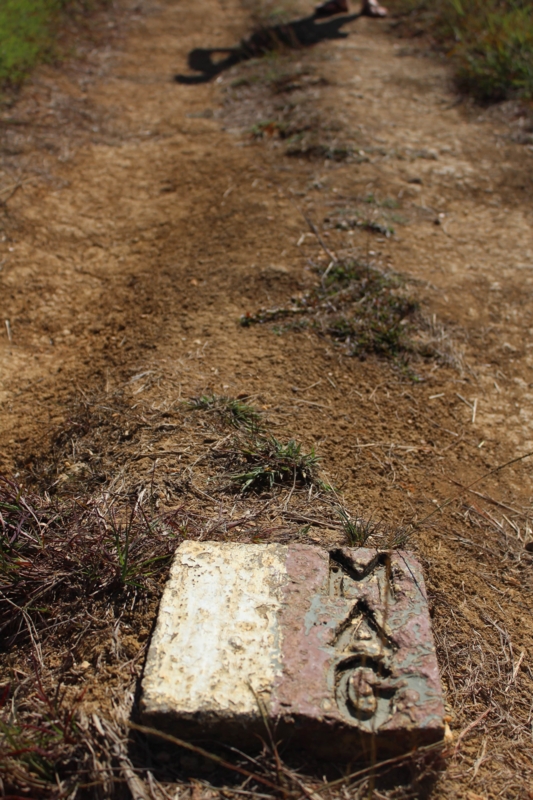 f:id:mikachanko4281196:20161111153042j:plain f:id:mikachanko4281196:20161111153042j:plain