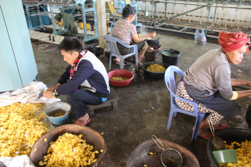 f:id:mikachanko4281196:20161111153043j:plain f:id:mikachanko4281196:20161111153043j:plain