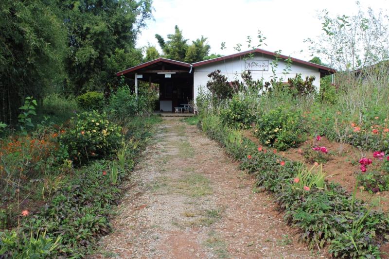 f:id:mikachanko4281196:20161111153044j:plain f:id:mikachanko4281196:20161111153044j:plain