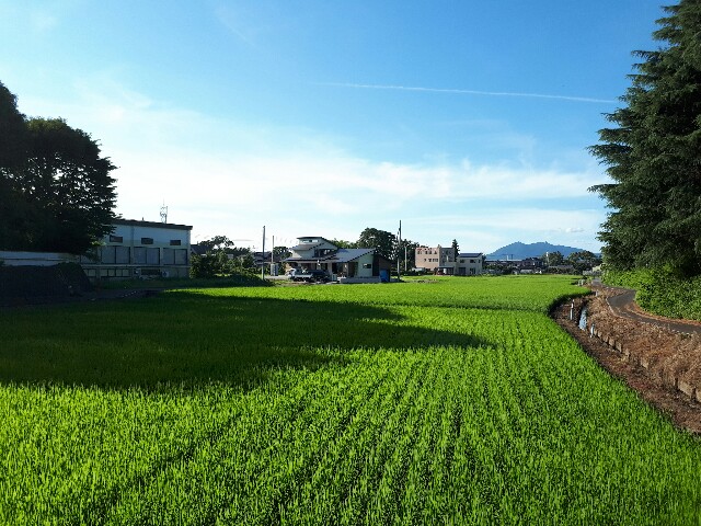 f:id:mikachanko4281196:20170728135852j:image f:id:mikachanko4281196:20170728135852j:image