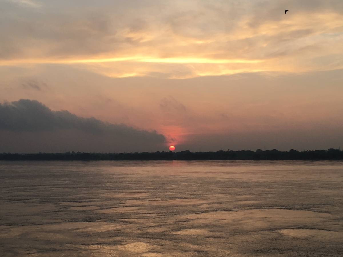 f:id:mikachi_n:20191022155728j:plain f:id:mikachi_n:20191022155728j:plain