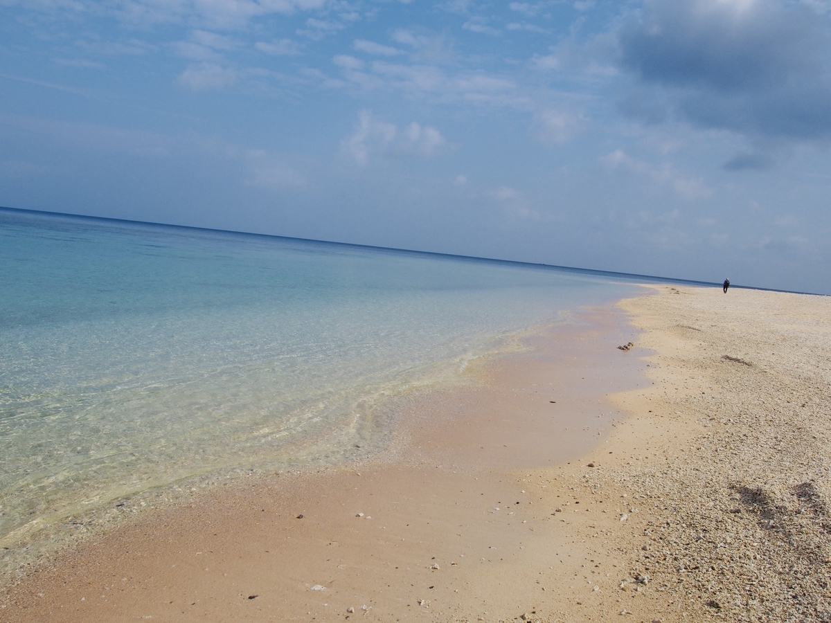 f:id:mikachi_n:20200508195304j:plain f:id:mikachi_n:20200508195304j:plain