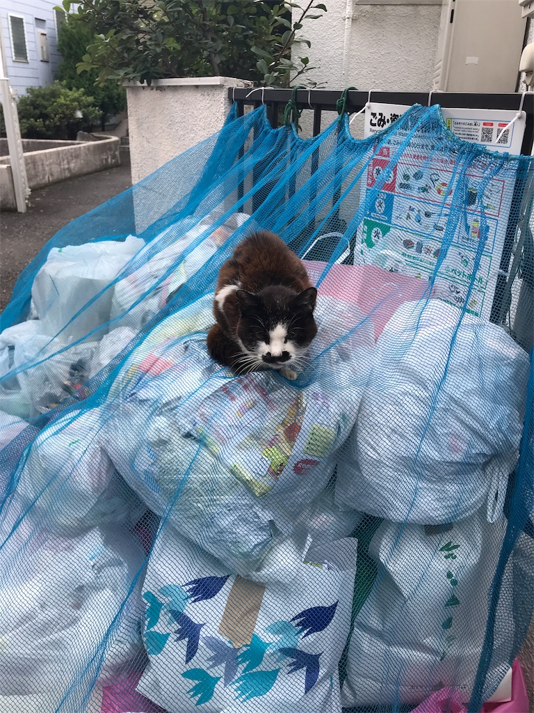 f:id:mikadandy:20181109230058j:image